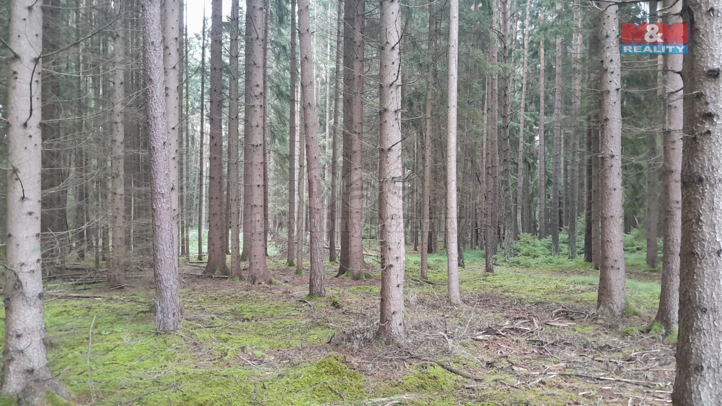 Obrázek WhatsApp, 2025-07-30 v 09.44.15_40a95a7f.jpg