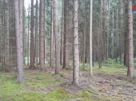 Prodej pozemku, les, 3 179 m²