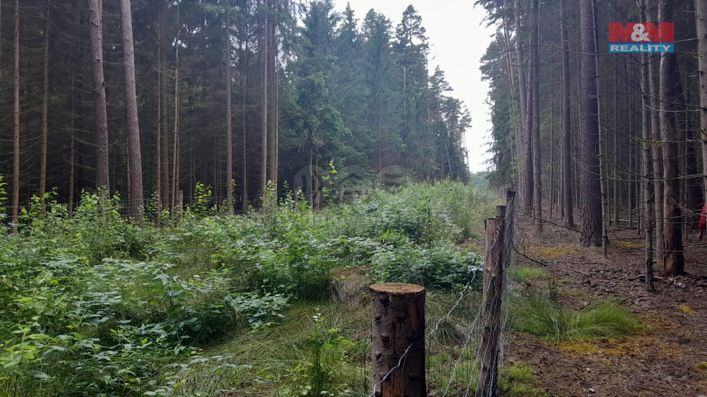 Obrázek WhatsApp, 2025-07-30 v 09.44.14_6eb2928f.jpg