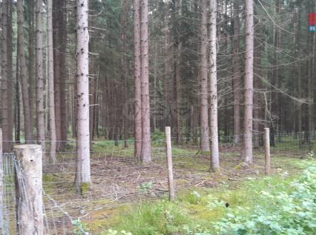 Prodej pozemku, les, 3 179 m²