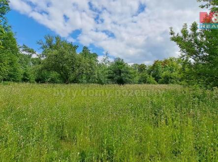 Prodej - pozemek, zahrada, 3 307 m²