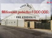 Prodej - pozemek pro bydlení, 4 266 m²