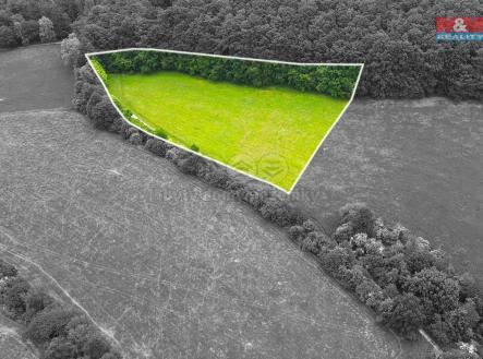 Prodej pozemku, trvalý travní porost, 11 031 m²