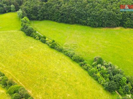 Prodej pozemku, trvalý travní porost, 11 031 m²