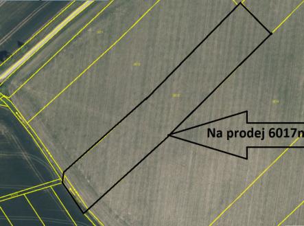 Prodej pozemku, zemědělská půda, 6 017 m²