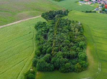 Prodej - pozemek, zemědělská půda, 27 000 m²