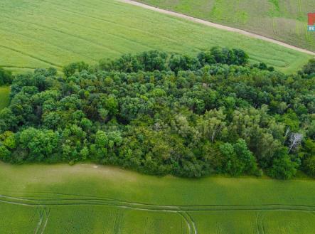 Prodej - pozemek, zemědělská půda, 27 000 m²