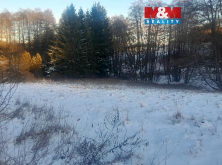 Prodej pozemku, trvalý travní porost, 19 732 m²