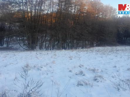 Prodej pozemku, trvalý travní porost, 19 732 m²