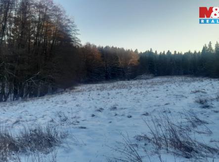 Prodej pozemku, trvalý travní porost, 19 732 m²