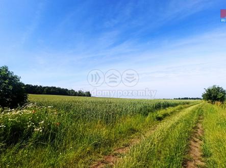 Prodej - pozemek, zemědělská půda, 31 465 m²