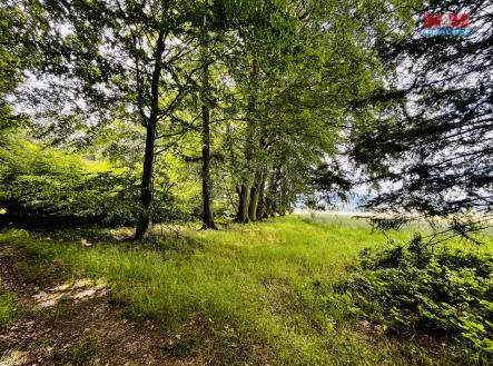 Prodej pozemku, les, 1 312 m²