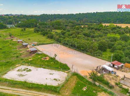 Pronájem - pozemek, trvalý travní porost, 1 000 m²