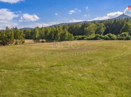 Prodej - pozemek, trvalý travní porost, 14 962 m²