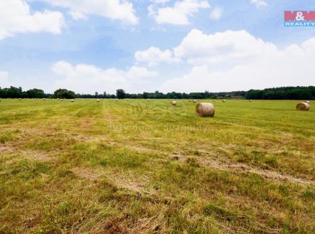 Prodej - pozemek, trvalý travní porost, 9 197 m²