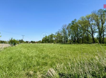 Prodej - pozemek, trvalý travní porost, 25 628 m²