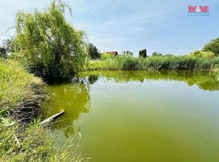 Prodej - pozemek, zahrada, 3 203 m²