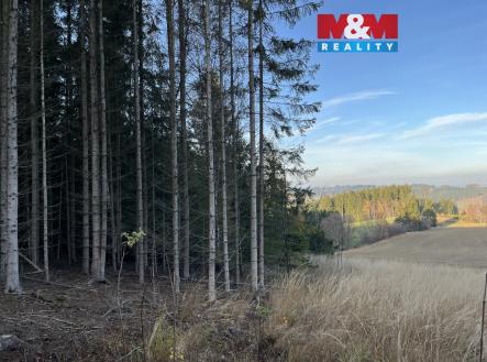 Prodej pozemku, les, 38 344 m²