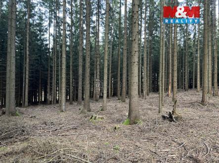 Prodej pozemku, les, 38 344 m²