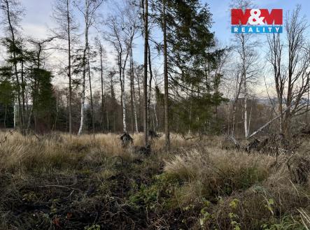 Prodej pozemku, les, 38 344 m²