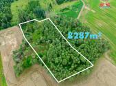 Prodej - pozemek, les, 8 287 m²