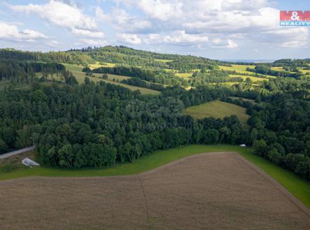 Prodej - pozemek, les, 10 603 m²