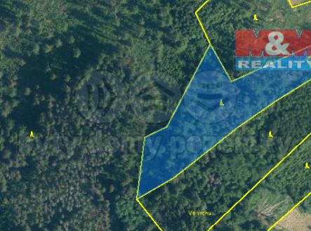 Prodej - pozemek, les, 7 371 m²