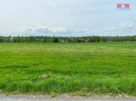 Prodej - pozemek, trvalý travní porost, 19 841 m²