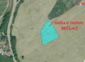 Prodej - pozemek, trvalý travní porost, 3 835 m²