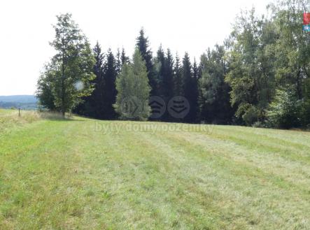 Prodej - pozemek, trvalý travní porost, 6 992 m²