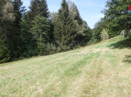 Prodej - pozemek, trvalý travní porost, 6 992 m²