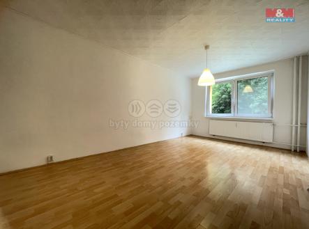 Pronájem bytu, 1+1, 40 m²