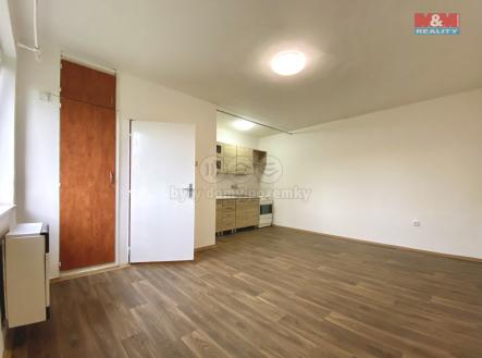 Pronájem bytu, 1+kk, 30 m²