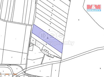 Prodej - pozemek, les, 7 675 m²