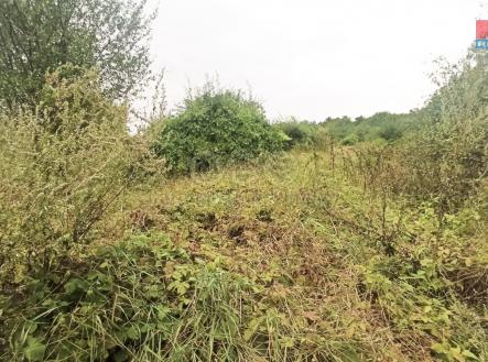 Prodej pozemku, ostatní, 1 362 m²