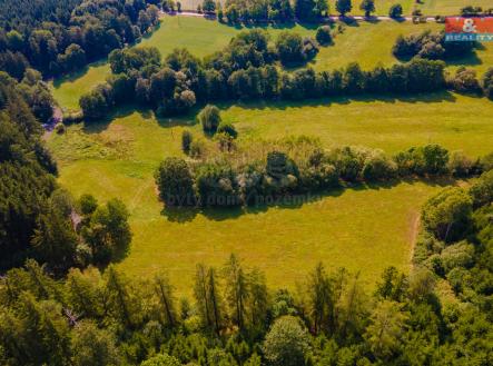 Prodej - pozemek, trvalý travní porost, 13 489 m²