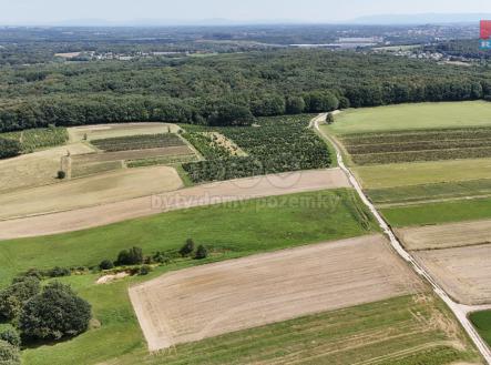 Prodej - pozemek, zemědělská půda, 2 506 m²