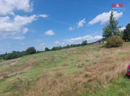 Prodej - pozemek, trvalý travní porost, 7 442 m²