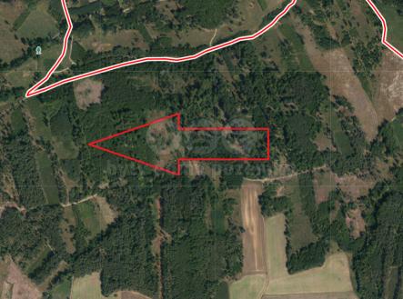 Prodej pozemku, les, 7 736 m²