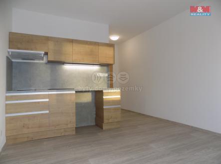 Pronájem bytu, 1+kk, 20 m²