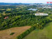 Prodej - pozemek, trvalý travní porost, 7 982 m²