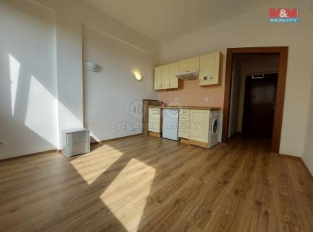 Pronájem bytu, 1+kk, 20 m²