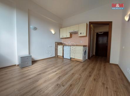 Pronájem bytu, 1+kk, 20 m²