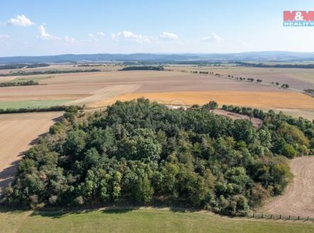 Prodej - pozemek, les, 9 132 m²