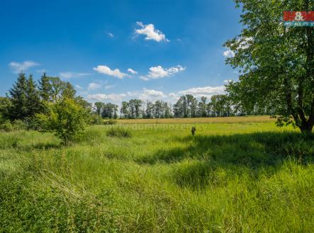 Prodej - pozemek pro bydlení, 1 147 m²