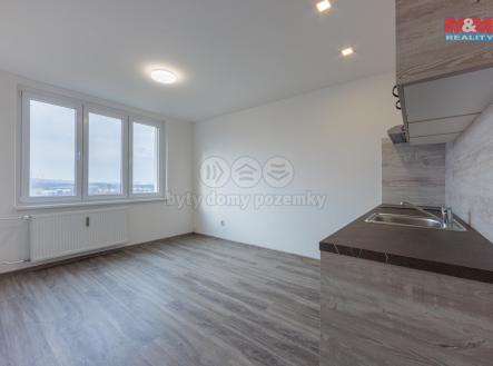 Pronájem bytu, 1+kk, 21 m²