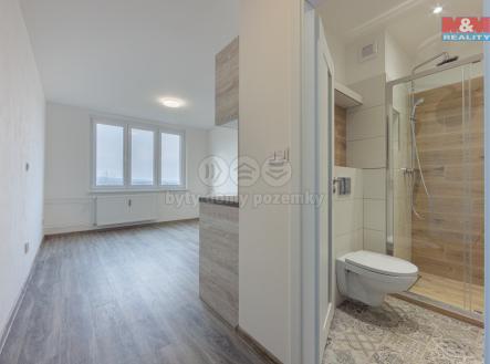 Pronájem bytu, 1+kk, 21 m²