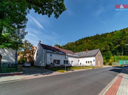 Prodej - dům/vila, 650 m²