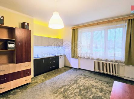 Pronájem bytu, 1+kk, 24 m²