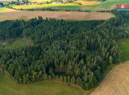 Prodej - pozemek, les, 147 m²